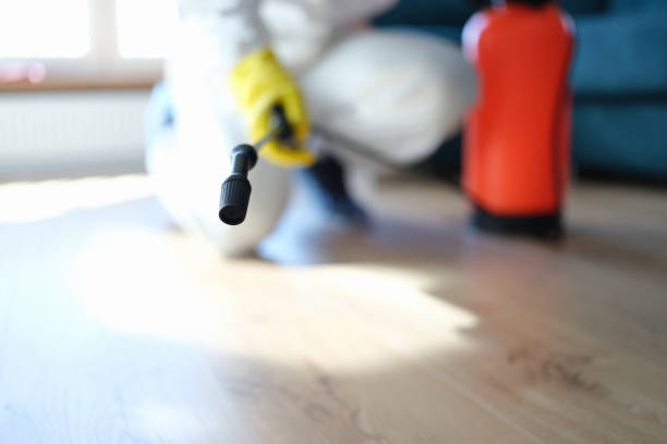 Best Air Quality Testing for Mold Spores  in Alpena, MI