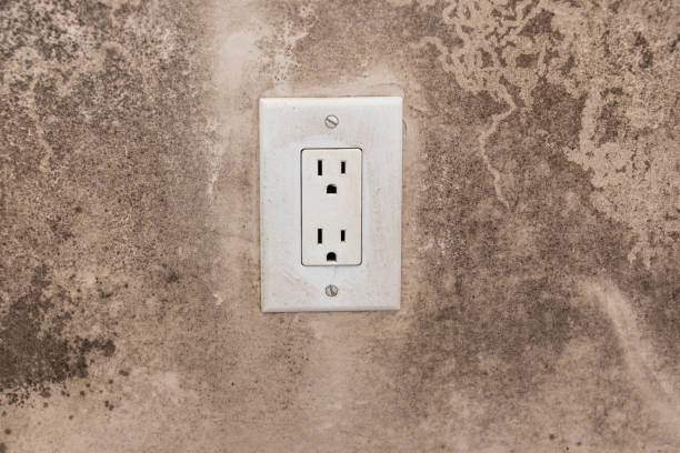 Forensic Mold Investigation in Alpena, MI